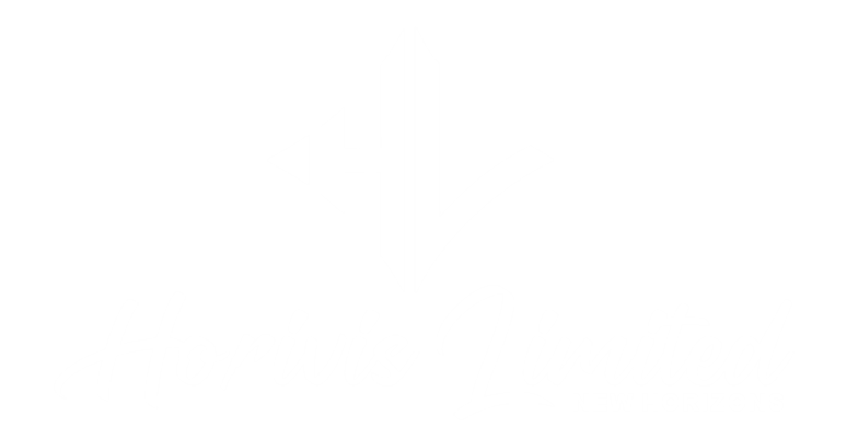 horivis limited logo